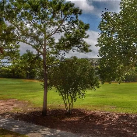 522 Wedgewood Condo